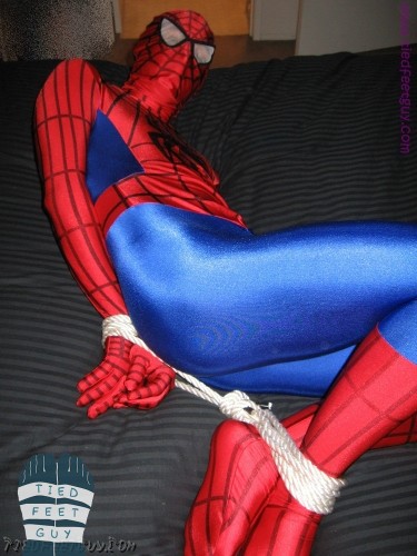 TFGspidey (16)