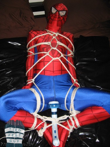TFGspidey (8)