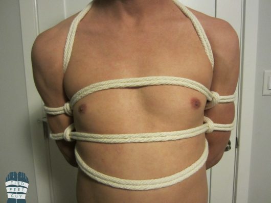 TFG-ropeharness (1)